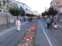 infiorata (76)